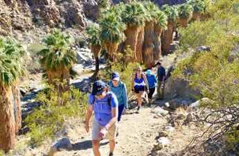Palm-Springs-&-Joshua-Tree-National-Park-Bike-Tour